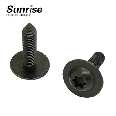 Torx-pistikupesa pannipeaga masinakeermestav autokruvi